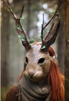 Journey to Rabbit Temple