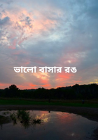 ভালো বাসার রঙ