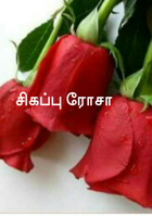 சிகப்பு ரோசா