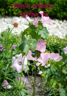 অবিচল অঙ্গীকার