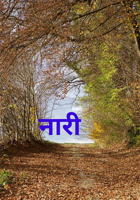 नारी