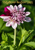 "నిన్నటిదాకా శిలనైనా!"(కథ)