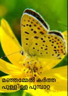 മഞ്ഞമ്മേൽ കർത്ത പുള്ളിള്ള പൂമ്പാറ്റ