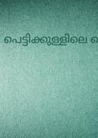 പെട്ടിക്കുള്ളിലെ സെൽഫി ചിന്തകൾ