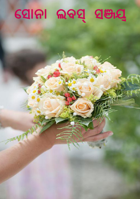 ସୋନା ଲବସ୍ ସଞ୍ଜୟ