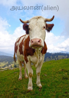 அயலான்(alien)