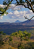 ಸೊಪ್ಪು ಮಾರುವವರ ಜೊತೆಗೆ