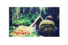 Dear Amaya