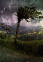 ನನಸಾಗದ ಕನಸು