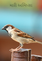 મારી અભિપ્સા