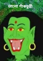 ভালো শাঁকচুন্নী