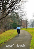 ಏಕಾಂಗಿ ಸಂಚಾರಿ