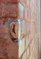 Walls Have Ears