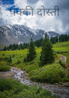 पक्की दोस्ती