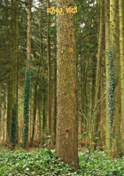 ಪುಟ್ಟ ಕಥೆ