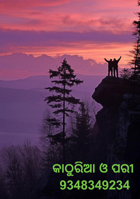 କାଠୁରିଆ ଓ ପରୀ