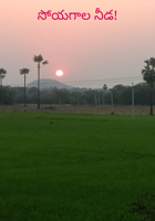 సోయగాల నీడ!