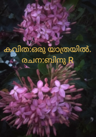 ഒരു യാത്രയിൽ