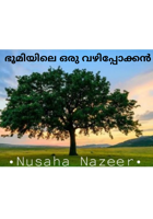 ഭൂമിയിലെ ഒരു വഴിപ്പോക്കൻ