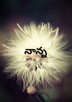 నాన్న