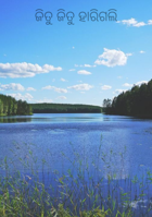 ଜିତୁ ଜିତୁ ହାରିଗଲି