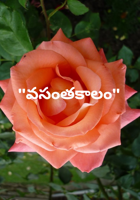 "వసంతకాలం"