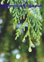 ആത്മാവിൻ്റെ വ്യഥകൾ