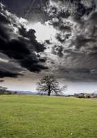 ಜೀವನ ಪರೀಕ್ಷೆ