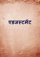 एडजस्टमेंट