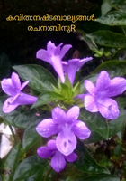 കവിത:നഷ്ടബാല്യങ്ങൾ.രചന:ബിനുR