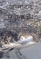 जन्मदिन मनाना है।