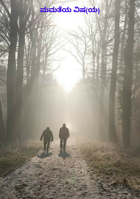 ಮಮತೆಯ ವಿಷ(ಯ)