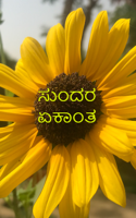 ಸುಂದರ ಏಕಾಂತ