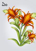 ఏం చేస్తారు?