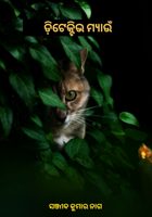 ଡ଼ିଟେକ୍ଟିଭ ମ୍ୟାଉଁ