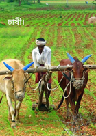 চাষী।