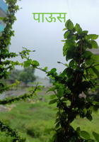 पाऊस
