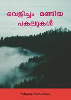 വെളിച്ചം മങ്ങിയ പകലുകൾ