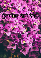 गुलमोहर रहने देना