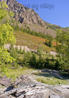 ପରିବେଶ ଶତ୍ରୁ ପଲିଥିନ୍