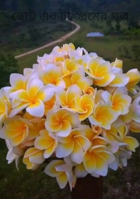 ছোট্ট একটা প্রেমের গল্প