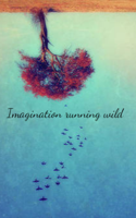 Imagination Running Wild