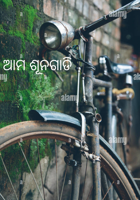 ଆମ ଶୂନଗାଡି