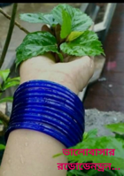 ভালোবাসার রডোডেনড্রন...