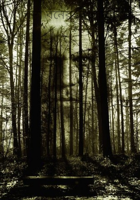 বাঁশ বনের বিভীষিকা