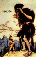 ভিনদেশি