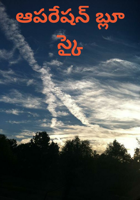 ఆపరేషన్ బ్లూ స్కై