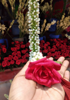 ক্ষমা করতে পারবো না কখনোই