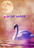 💗నా చెలి "జాబిలికి"🌷
