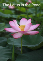 The Lotus in the Pond